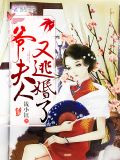 爷,夫人又逃婚了