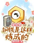 宝可梦:钢铁是这样炼成的